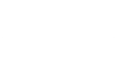Say Yes Express